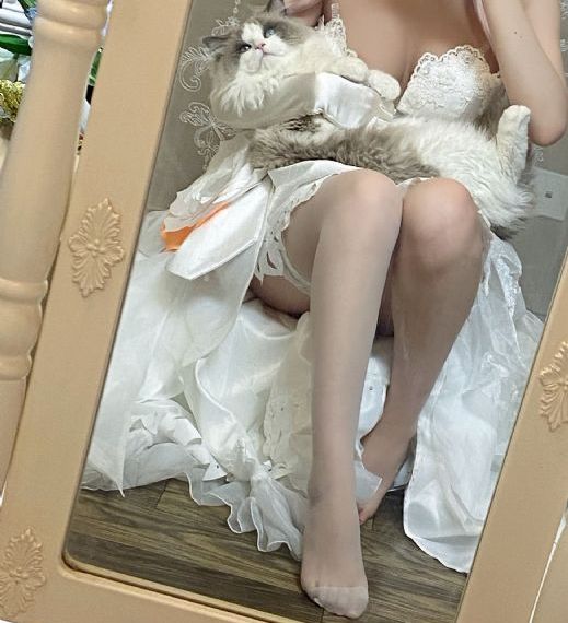 唐朝诡事录在线看