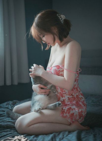 电视剧全集